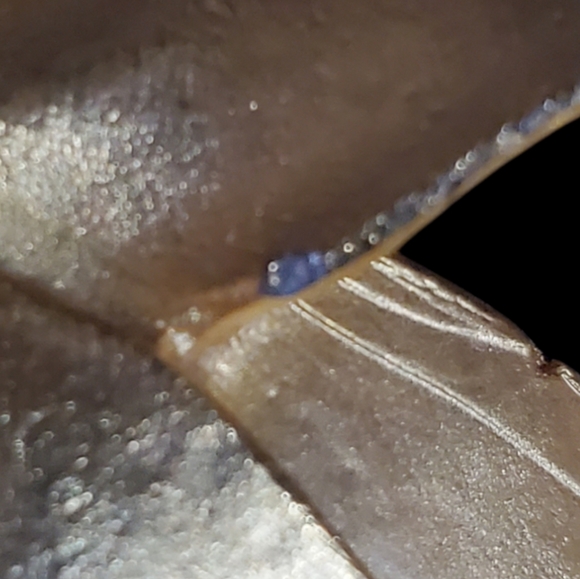 Vintage Gold Tone Bow Brooch - Picture 4 of 4